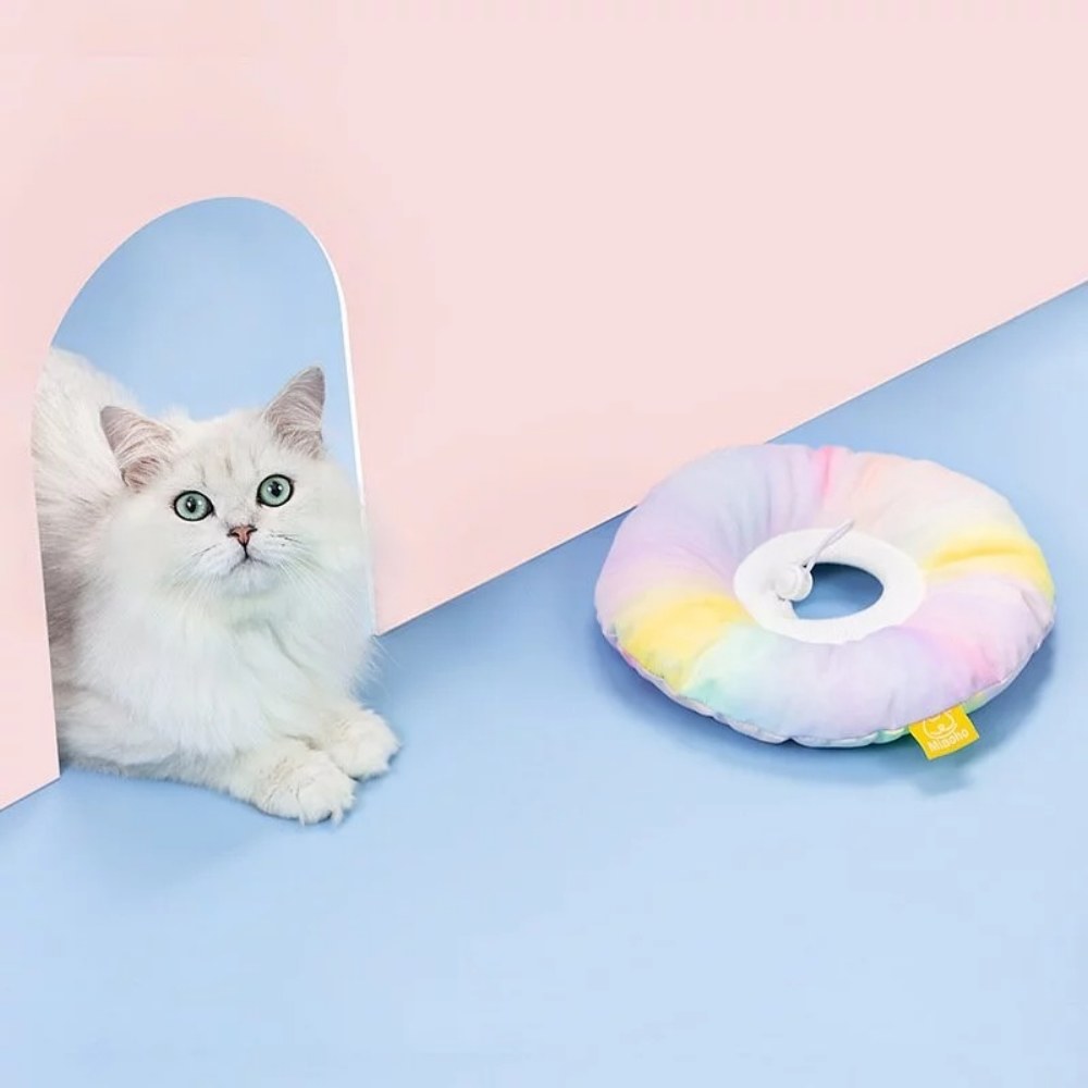 漸變色伊莉莎白圈 (三色)